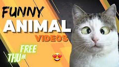 Funny animals 😄hub,funny animals club youtube, 🤣, funny animals dancing 💃😄, funny animals fighting 😄