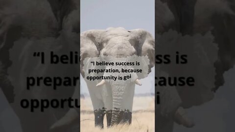 Success Seems To Be Connected...? Success Motivations #shorts #motivation #success #mind #elephant