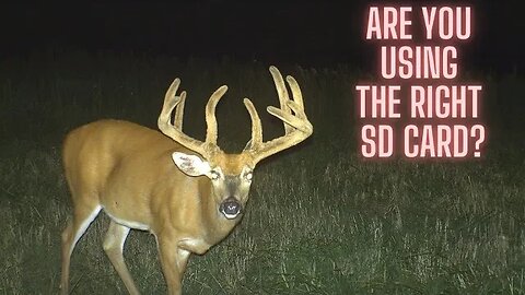 Trail cameras: Are you using the right SD card?