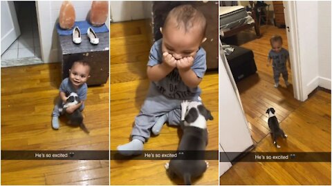 Baby has adorable reactions to new puppy addition