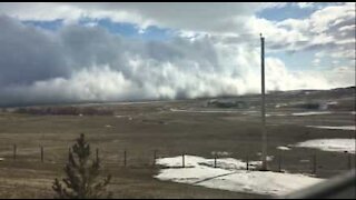 Tsunami di nuvole invade un campo in Canada