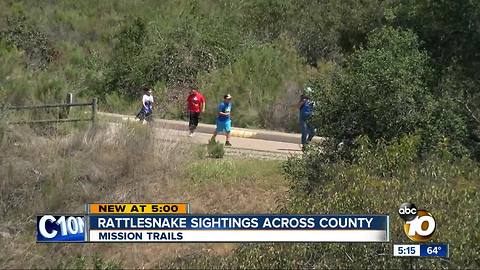 Rattlesnake sightings across San Diego County