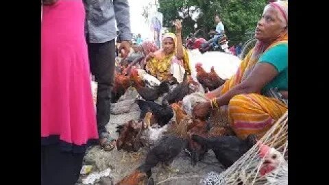 Amazing Site Distributes SeaFood & Fish | Fish Market Scene Show | Amazing Rural Market in Kolkata.