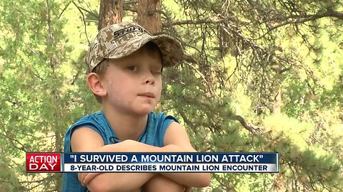 Colorado family talks about mountain lion attack on 8-year-old boy: 'It was just chewing on him.'