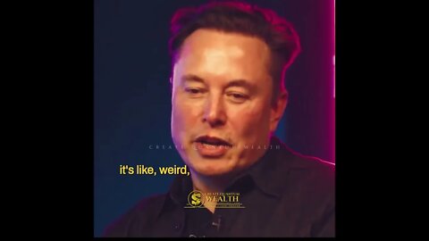 Elon Musk Calmly Destroying Metaverse