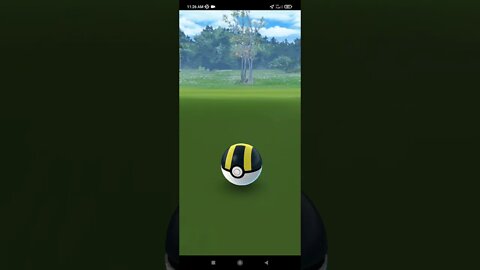 Pokémon GO-Dawn Hat Chimchar