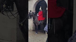 Horse makes them leave #horseguardsparade