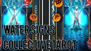 Water Signs Timeless Tarot Reading - Thoth 432 Studio