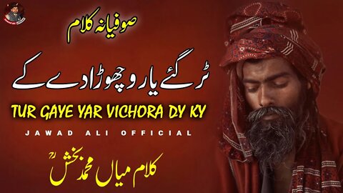 Tur Gaye Yaar Vichora Dy Ky | Punjabi Sufiana Kalam Mian Muhammad Baksh | Saif ul Malook | Sufism