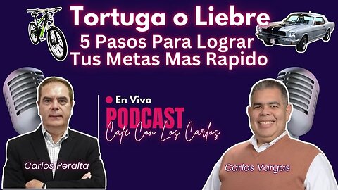 Tortuga o Liebre - 5 Pasos Para Lograr Tus Metas Mas Rapido