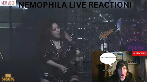 NEMOPHILA OIRAN Live Video Reaction! (DL Reacts!)