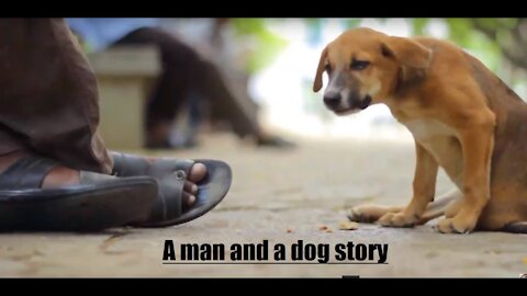 A man and a dog story |HEART TOUCHING | very very sad story |