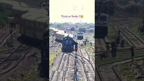 Train is mental snake 🙀 #shorts #shortsfeed #saintpee #viral #youtubeshorts #viralvideo