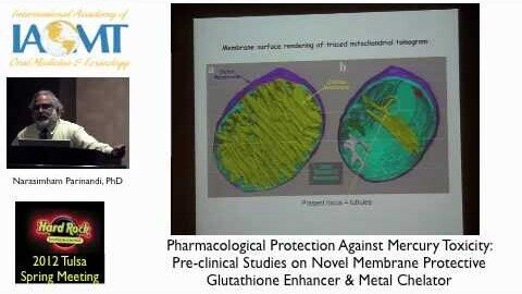 Dr N. Paranandi discusses Pharmacological Protection Against Mercury Toxicity IAOMT Tulsa 2012