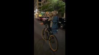 Dog Fearlessly Enjoys His First Ever Bike Ride