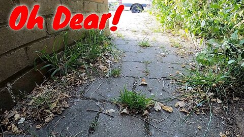 Super Busy Single Mum Trying Her Best Felt EMBARRASSED By Having The MESSIEST DRIVEWAY ON THE STREET