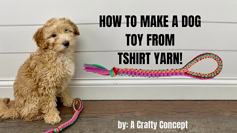 How to Make a Fun DIY Dog Toy Rope Out of T-shirt Yarn