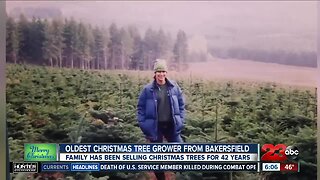 Christmas tree farm