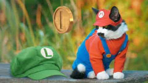 SUPER MARIO CAT BROS.2018