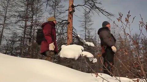 ALONE & WITH & WOLVES & & Real & Siberia & & Adventure & & Bushcraft & in & Siberia & & The & wi