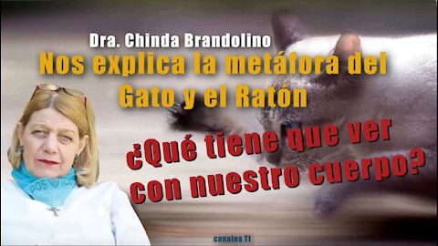 Con una Metáfora la Dra. Chinda B. nos da una curiosa explicación