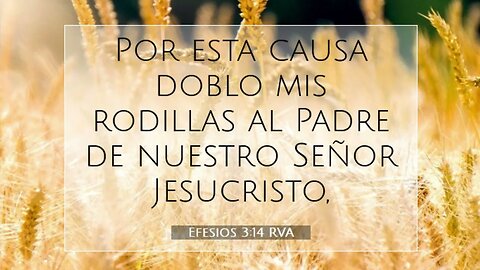 Arrodillémonos delante del Señor #devocional #devocionaldiario #jesuscristo