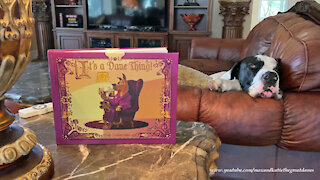 Great Dane Relaxes On the Sofa With Dale Toons It's A Dane Thing Book