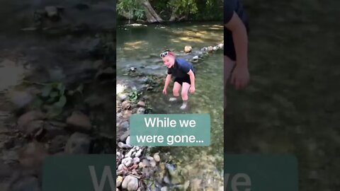 While we were at the river, She planted a FIG Tree! 🌱☀️👍 #shorts #viral #tiktok #trending