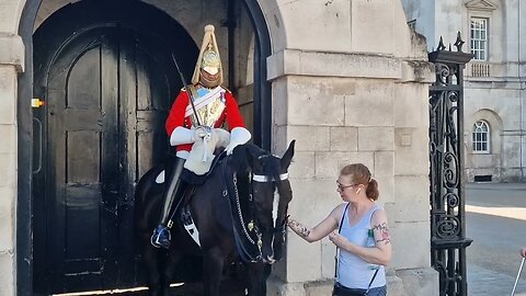 Can he have a mint #horseguardsparade