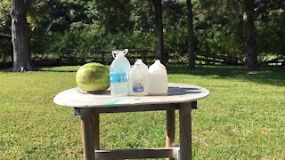 Exploding watermelon from a Mossberg 30-30