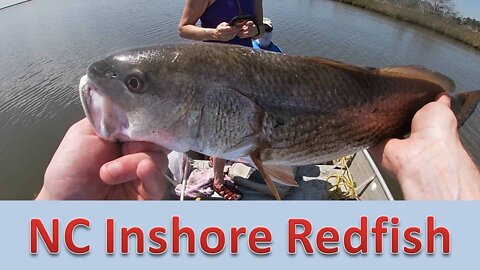 Inshore Redfish Labor Day 2020