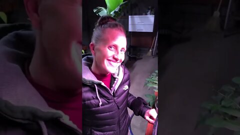 She PLANTED A WHAT? 🌱❤️ #shorts #viral #trending #tiktok #plantnursery