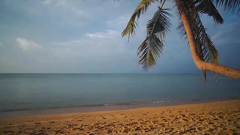 Calm Your Mind with the Sounds and Scenes of the Beach