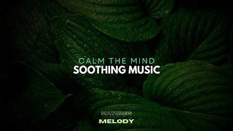 "Melodic Bliss: Finding Inner Peace Through Soothing Music".Relaxing music