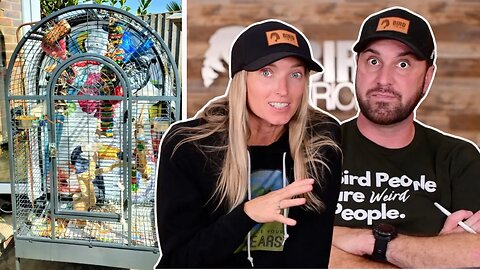 😳 Reacting To Our Subscribers Bird Cage Set Ups | Part 3