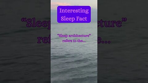 Beach Sleep Secret? 😴🏖️ | Surprising Fact Revealed! @AmbientNoiseCo. #beachvibes #facts #ocean