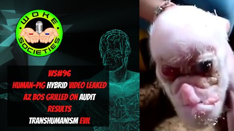 WS#96 Human-Pig Hybrid Video Leaked, AZ BOS Grilled on Audit Results, Transhumanism Evil