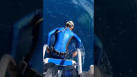 Shark Almost Eats Diver #shorts