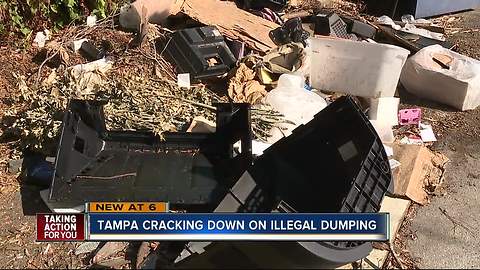 Tampa sees uptick in illegal dumping after Hurricane Irma