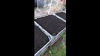 4 self wicking raised beds ready