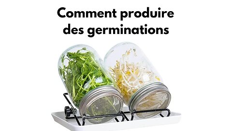 Comment faire des germinations.