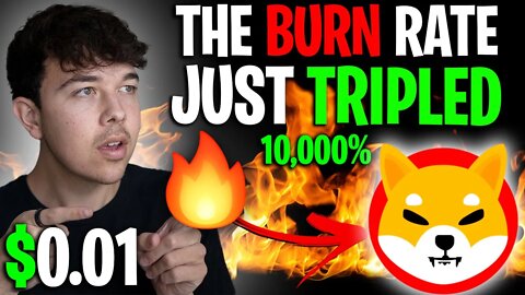 THE SHIBA INU COIN BURN RATE IS UP 300% 🔥 SHIB PRICE PREDICTION 🚨