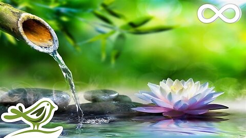 Soothing Relaxation: Relaxing Piano Music, Sleep Music, Water Sounds, Relaxing Music, Meditation