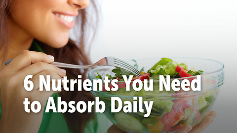 6 Nutrients You Need to Absorb Daily