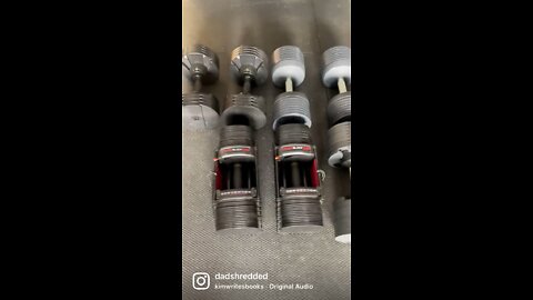 Adjustable Dumbbells Collection or Problem? | Shredded Dad