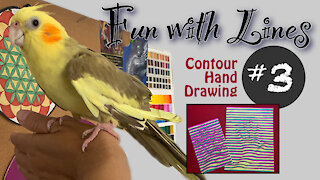 "Fun with Lines" Contour Hand-Drawing Lesson #3