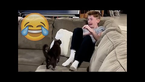 WORLD BEST FUNNIEST🤣 Dog vs men 🤣 funny video> Don't Try Laughing 🤣 clips