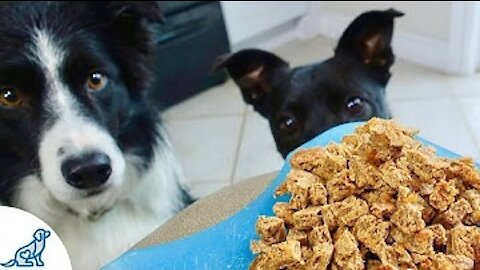 Three EASY dog treat recipes!