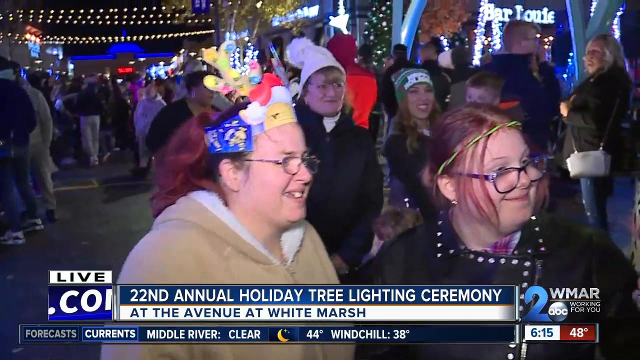 Annual holiday tree lighting ceremony