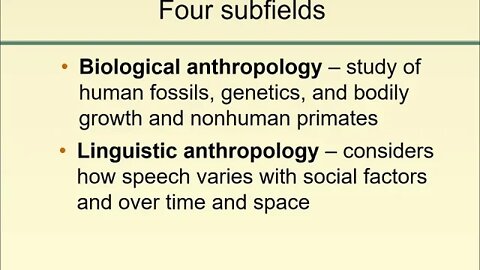 What is Anthropology?